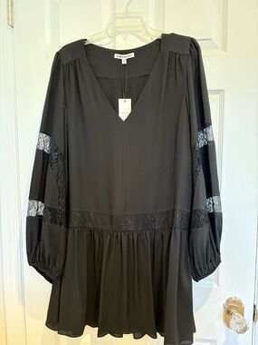 Elizabeth and James Black Lace-Panel Long Sleeve Mini Dress